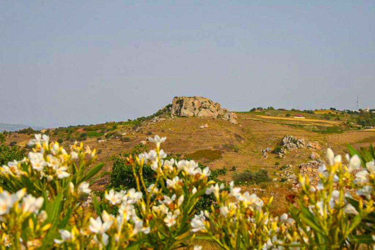 Villa Styliani Dhrousha Buitenkant foto